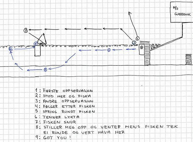 Regnbueh�vingskart