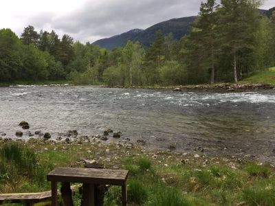 Fossen 02.06.2019