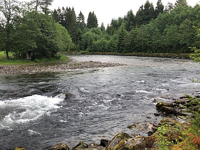 Ny-Ledet Juni 2019