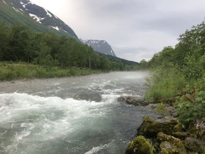 Skodde i Bondalselva