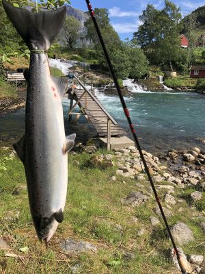 Laks i Stadheimsfossen, Korsbrekk