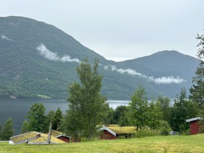 Endeleg lakseskodde