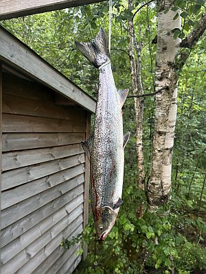 Tert i Reitehlen, Eidselva