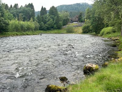 Endre fiskar Flata Kvien, Eidselva