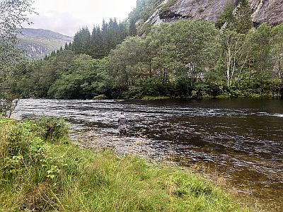 Endre fiskar utl�pet