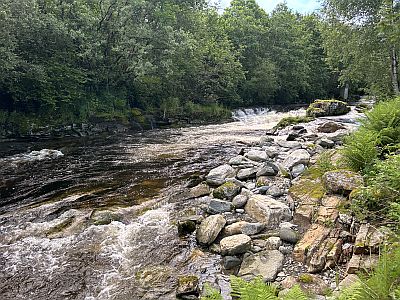 Hondeh�len, Hjalma