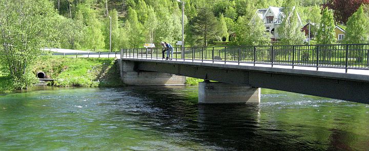 Eidselva Skipenesbrua 2007