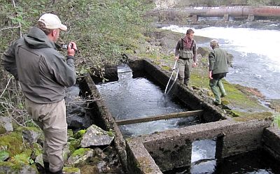 Eidselva 2011 Rkting av Laksetrappa