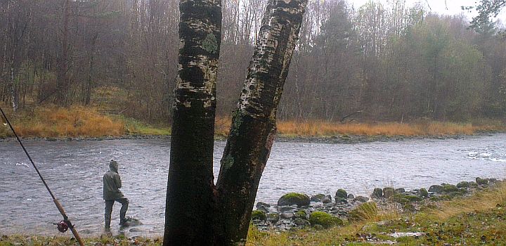 Eidselva 2014 Haustfiske Surt og Kaldt